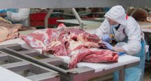 Carne bovina, exportações