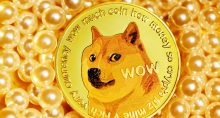 Bonk Dogecoin DOGE Solana memecoin