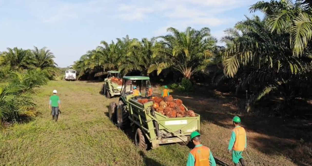 Vibra Biocombustível Aviação