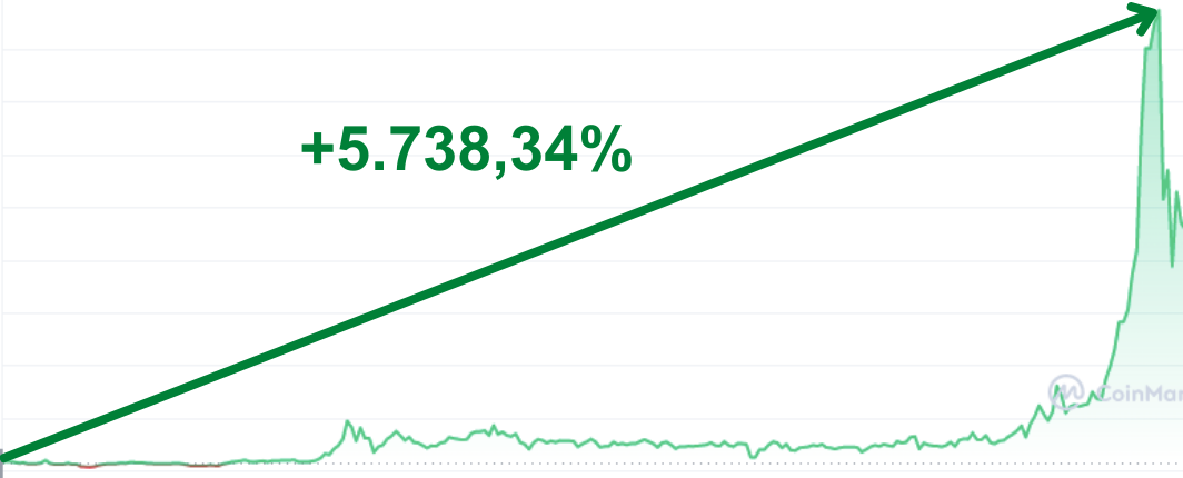 Gráfico mostrando valorização de +5.738,34%