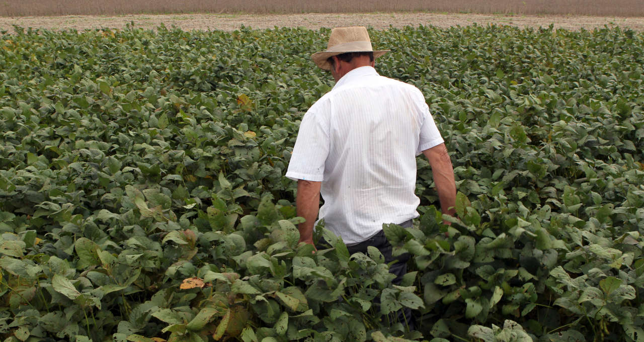 Produção Agrícola