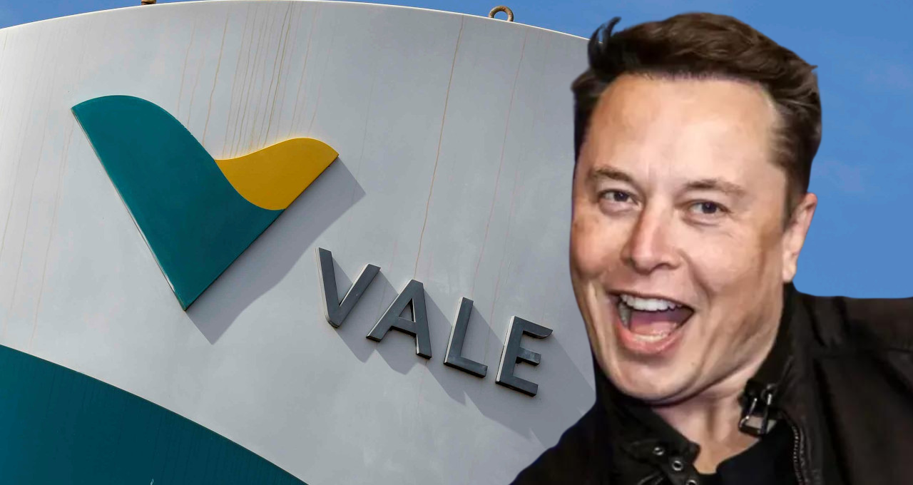 elon musk e vale