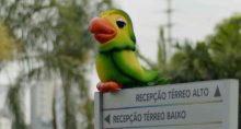 Loro José, Rede Globo, televisão