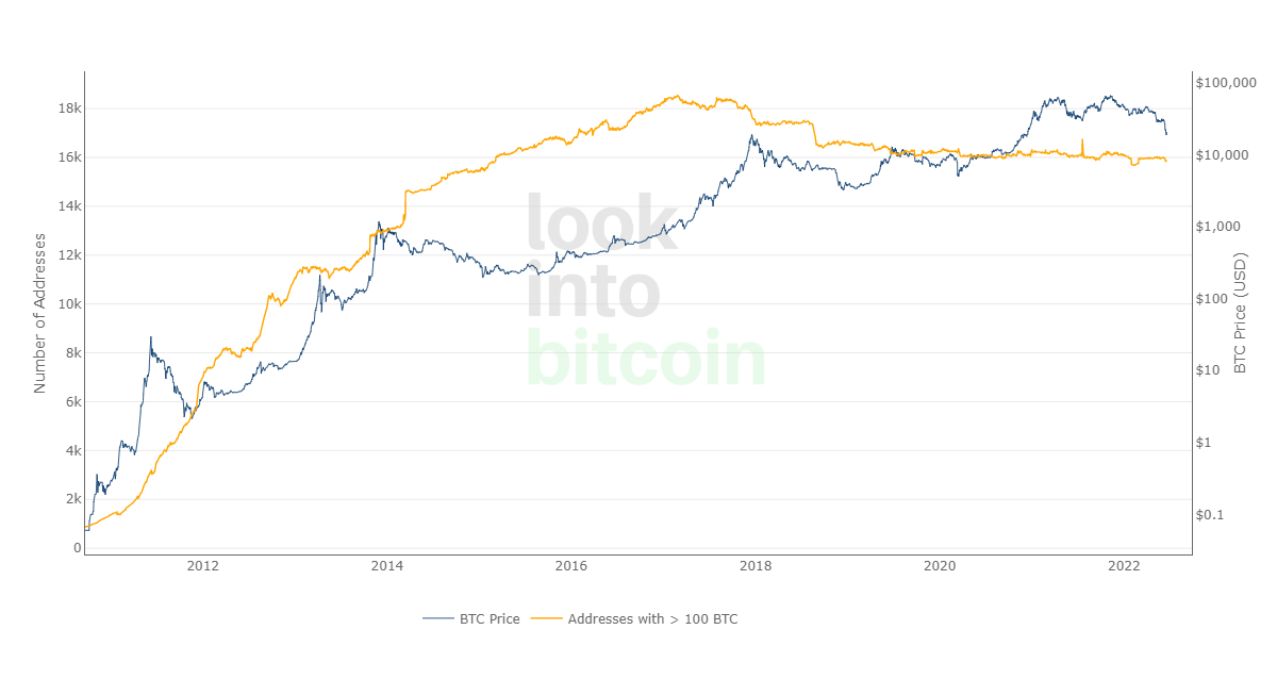 bitcoin morreu