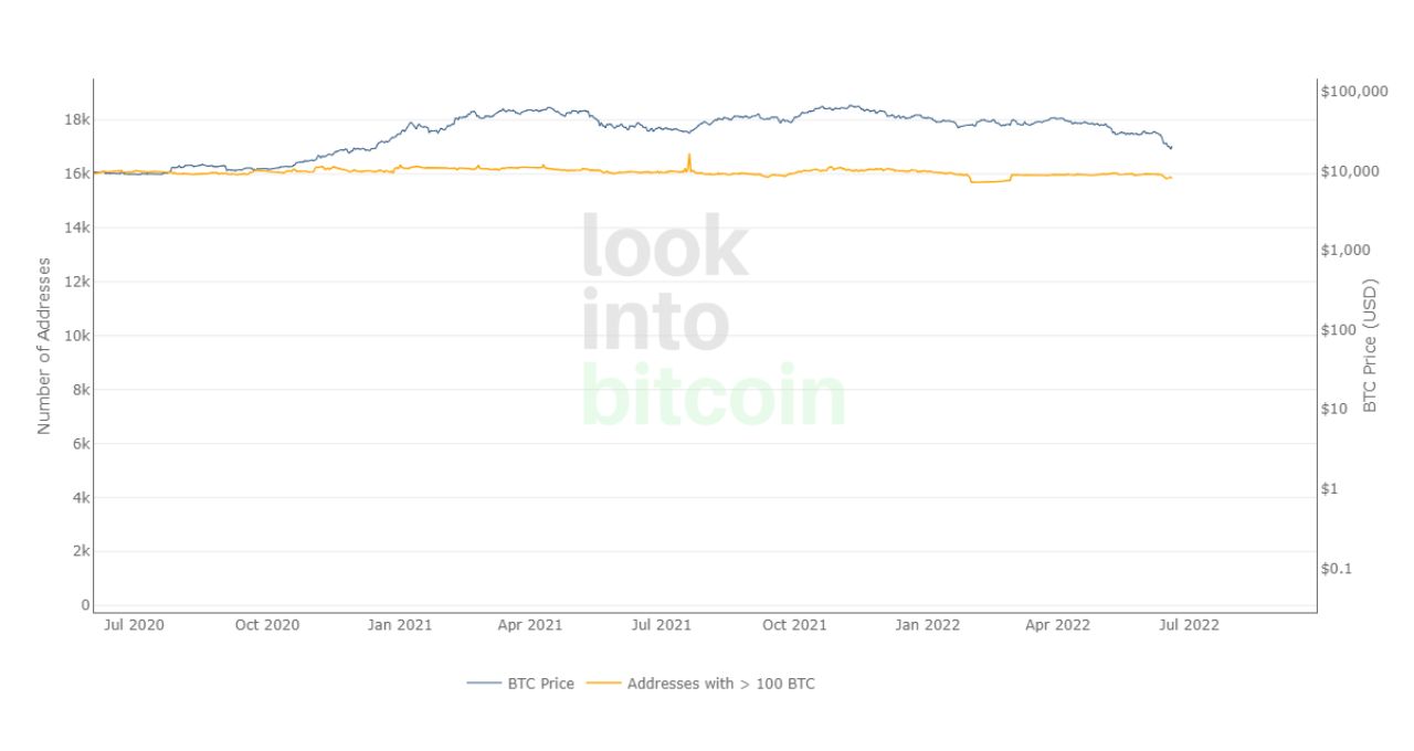 bitcoin morreu