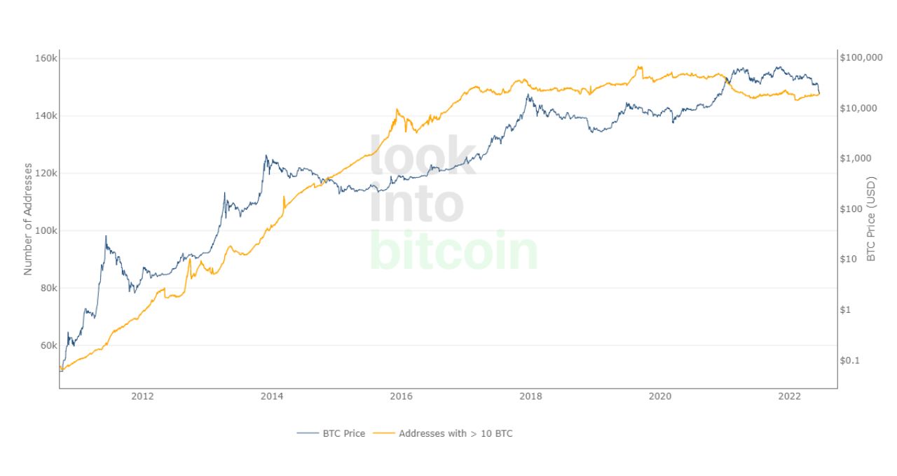 bitcoin morreu