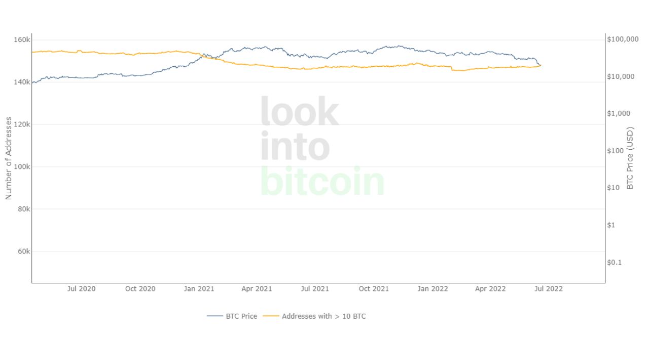 bitcoin morreu