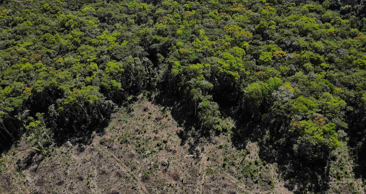 Amazônia 