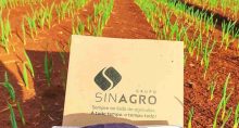 Sinagro