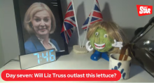 liz truss lettuce alface