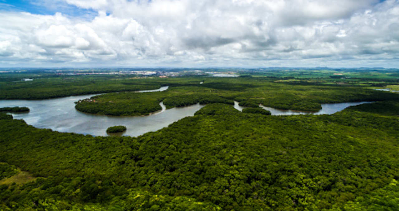 Amazonia