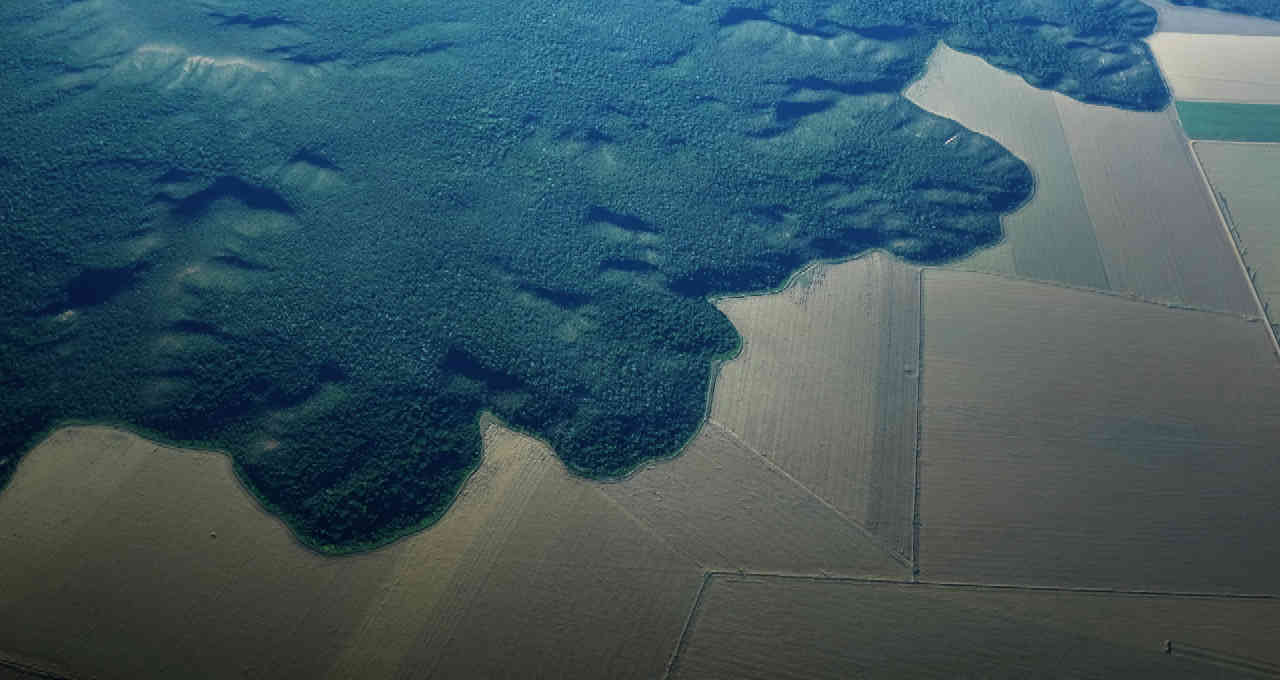  meio ambiente sustentabilidade amazônia floresta amazonas preservação ambiental itaú suzano vale rabobank marfrig santander