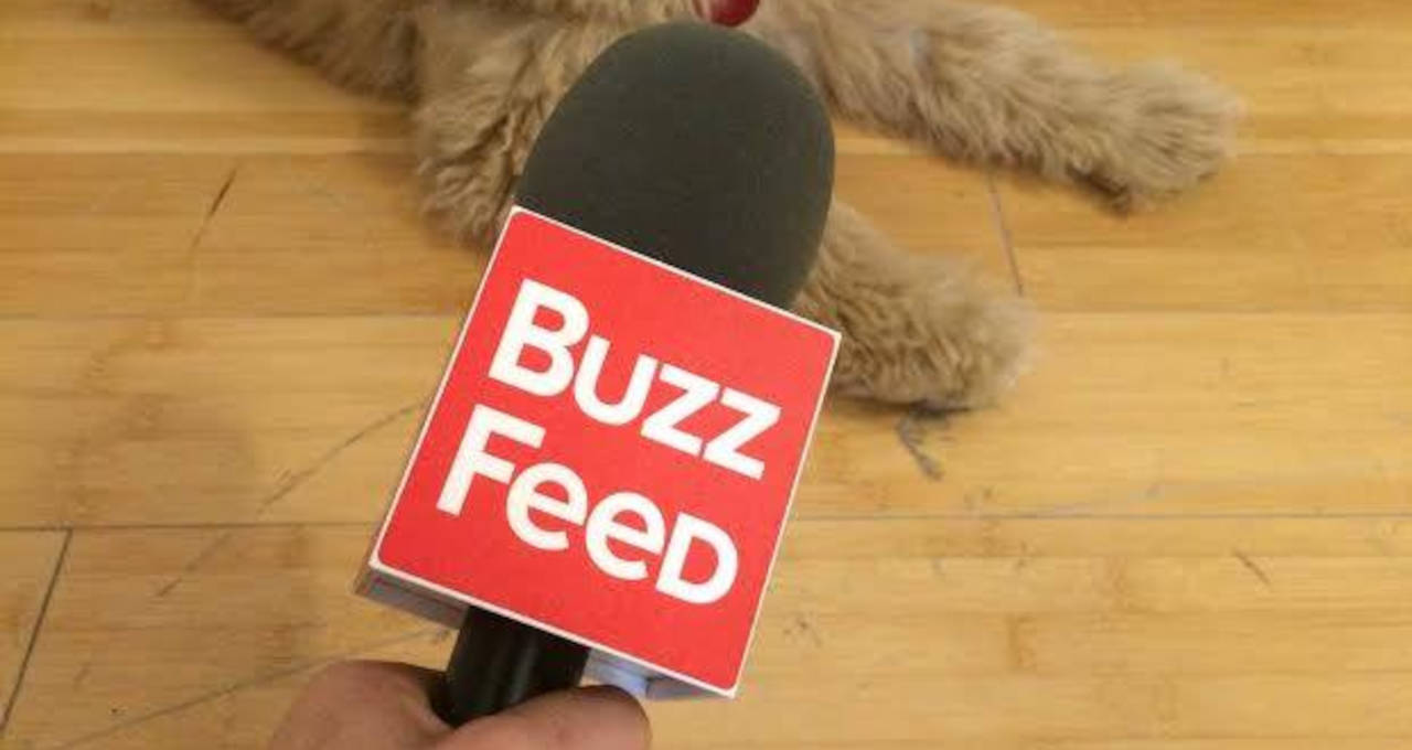 BuzzFeed