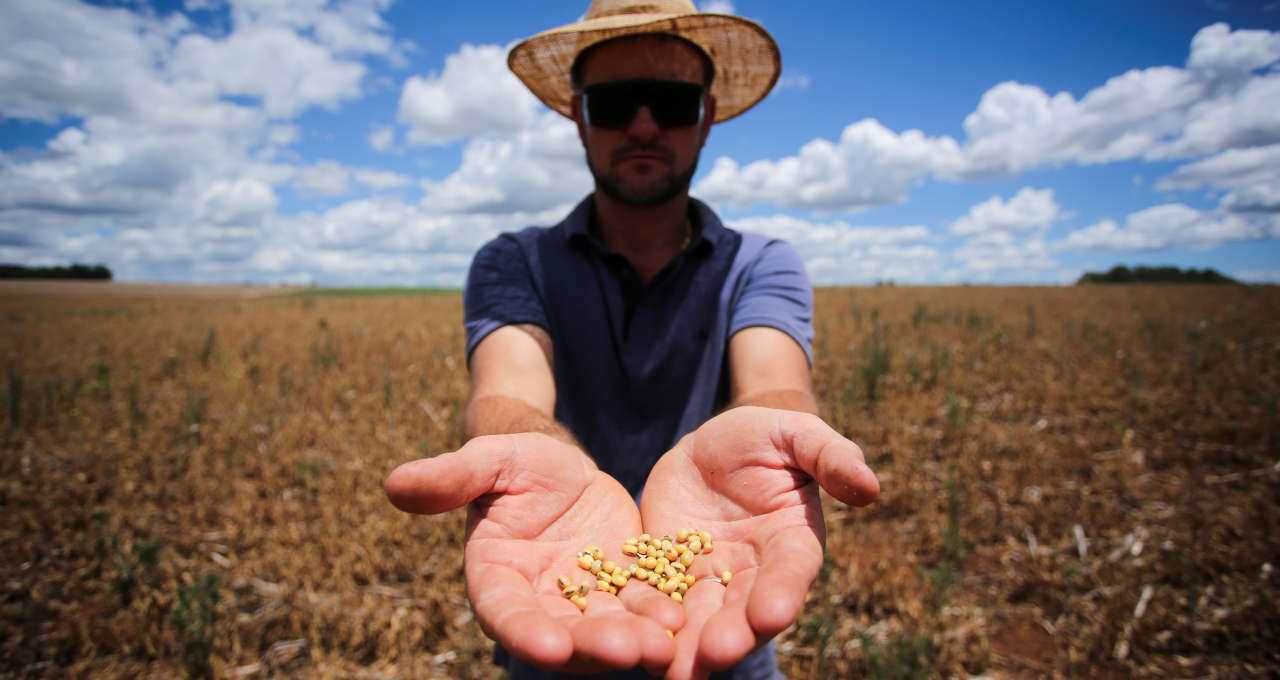 Ações do agronegócio