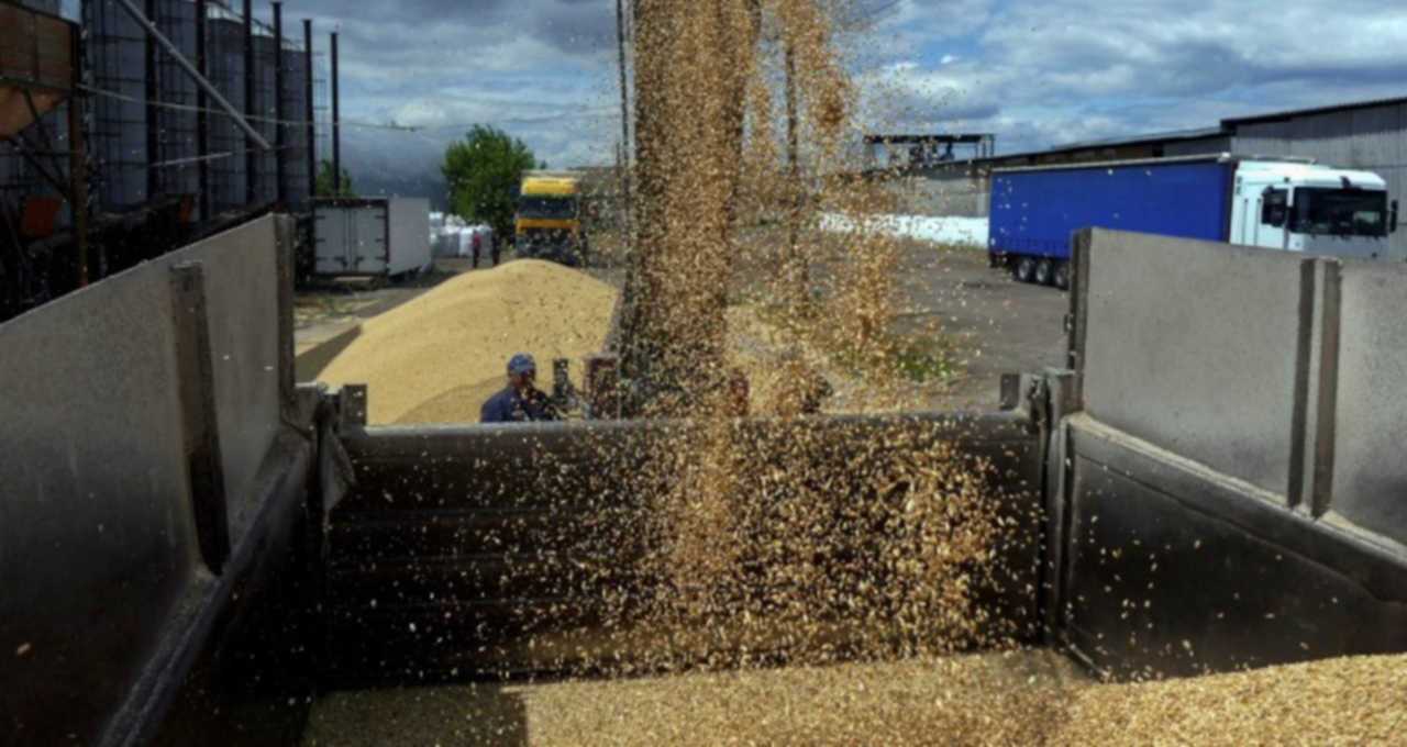 Ucrânia mar negro grãos commodities