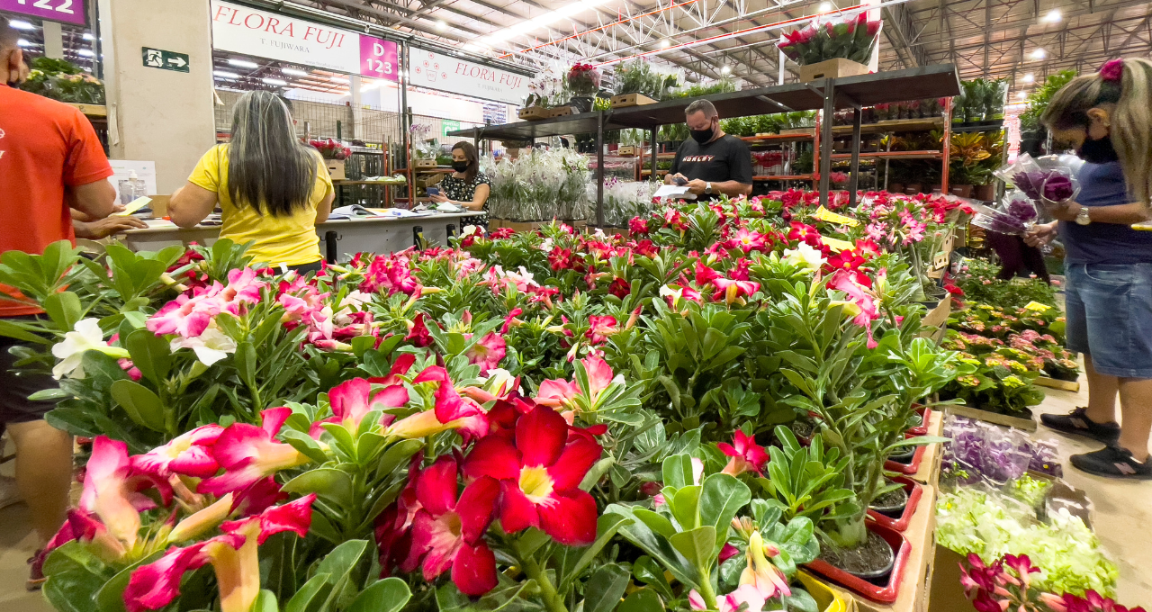 flores dia das mães