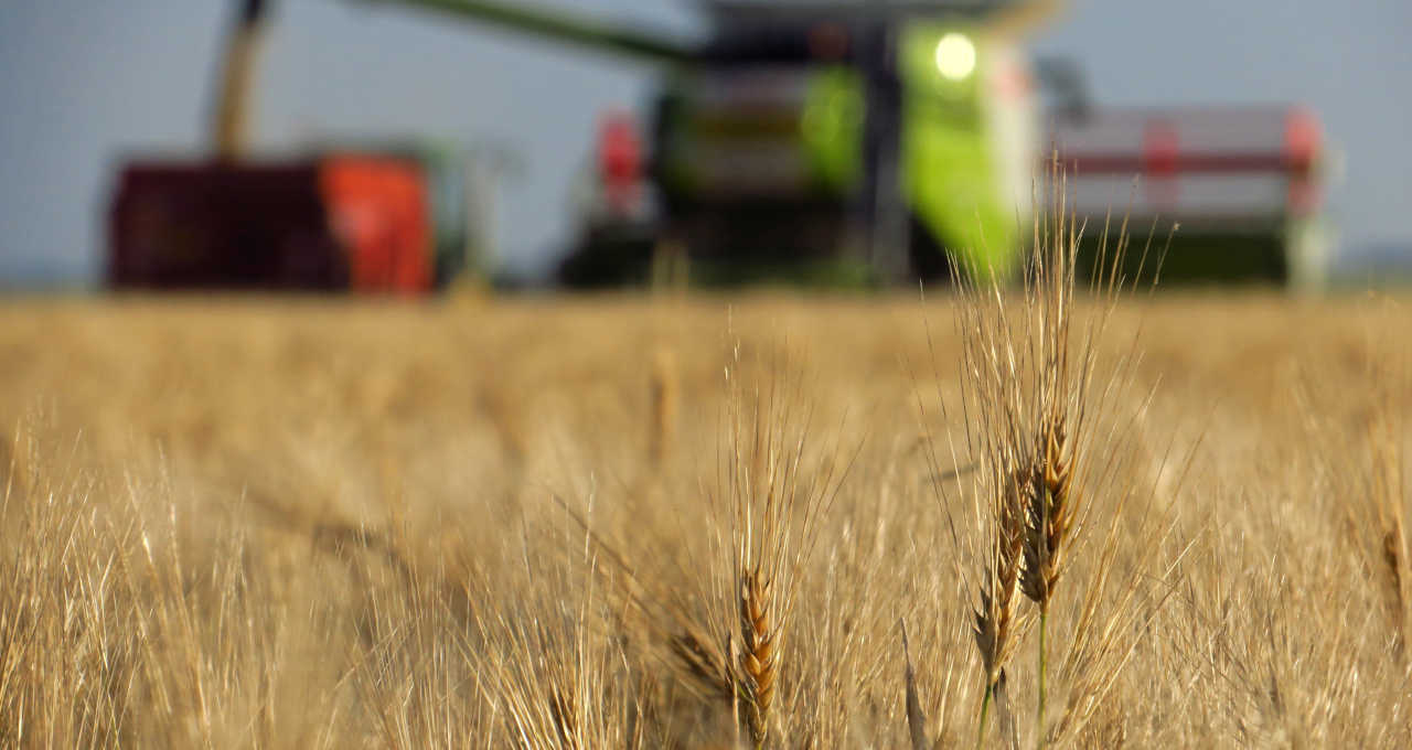 Plano Safra, Agricultura