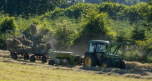 agronegócio agricultura reforma tributária ipp produtor ibge