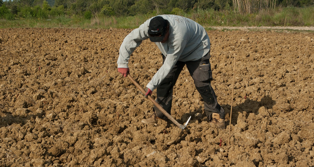 agricultor reforma tributária 