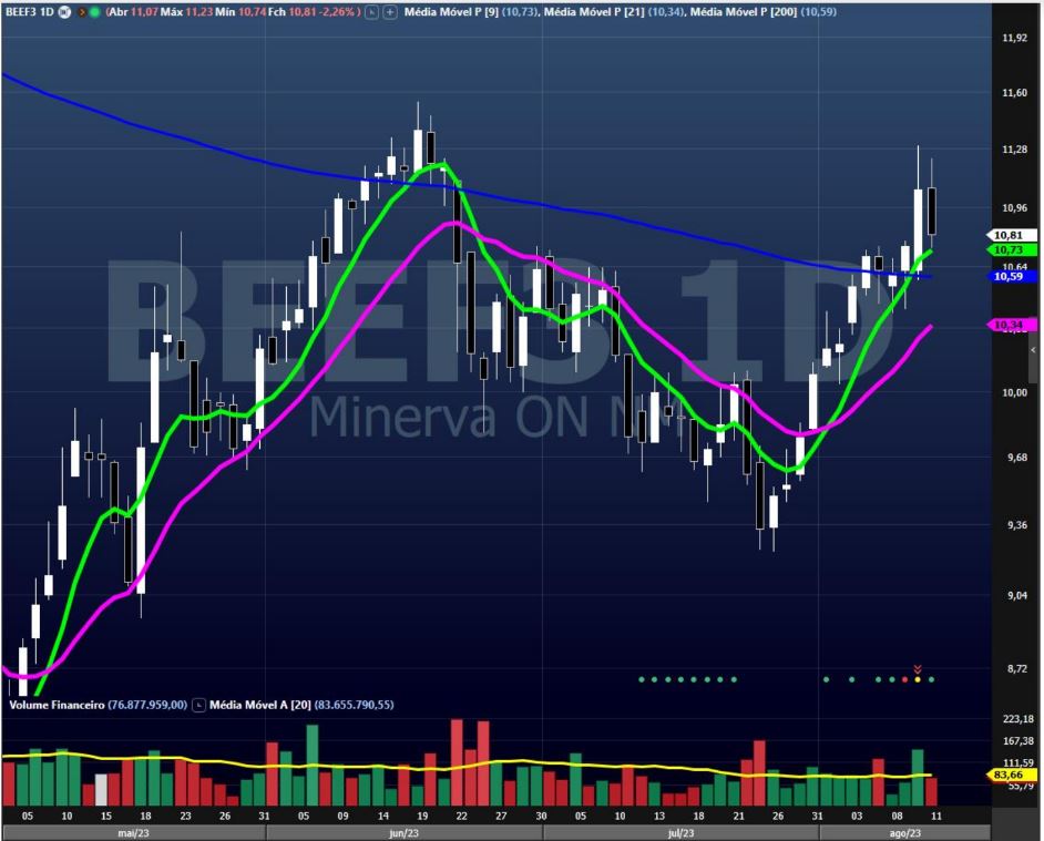 Minerva Foods (BEEF3)