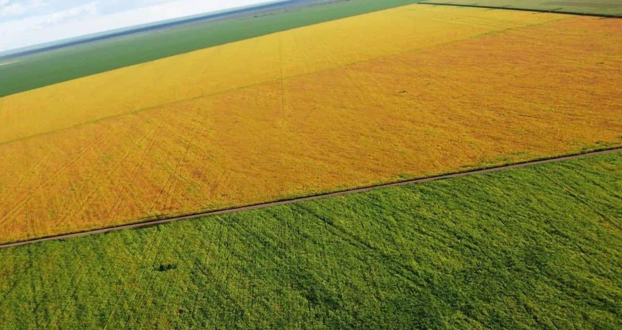 brasilagro imobiliária