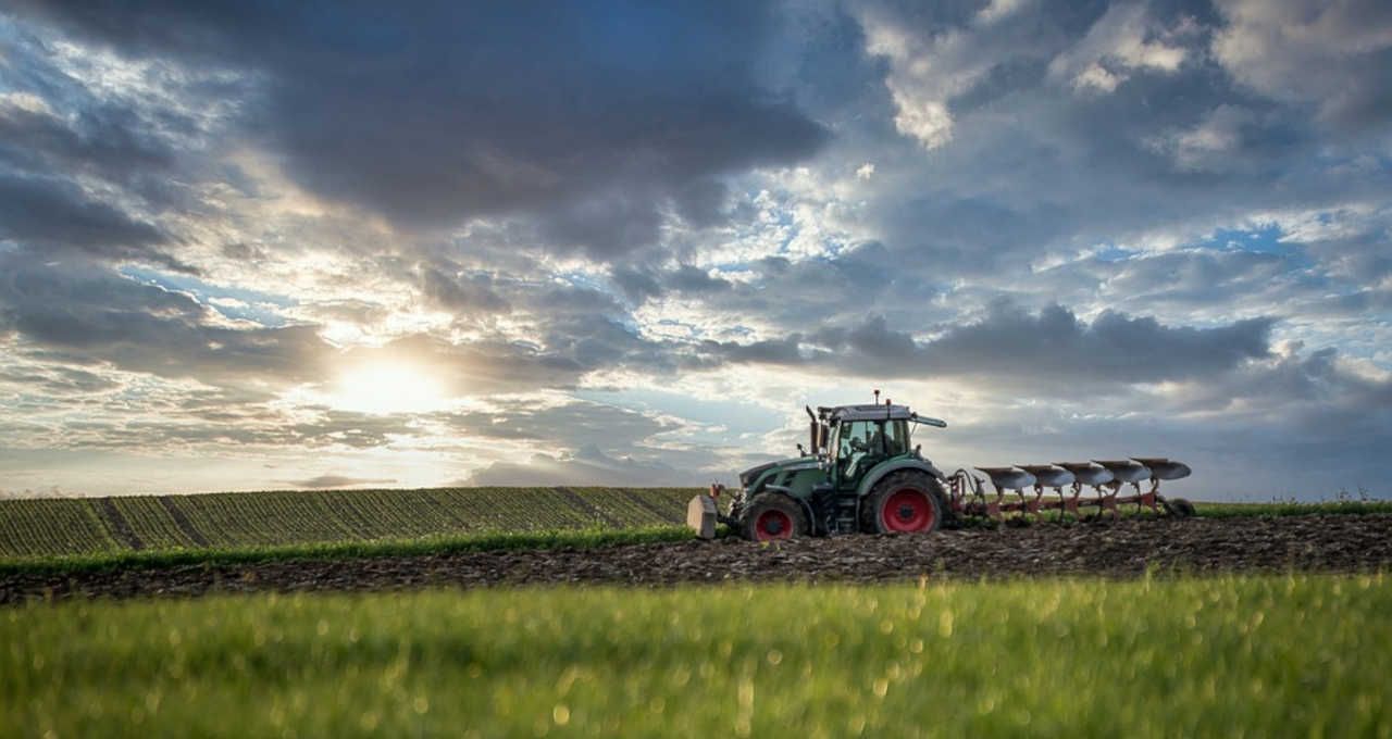 Agro, Produção Agrícola, Brasil