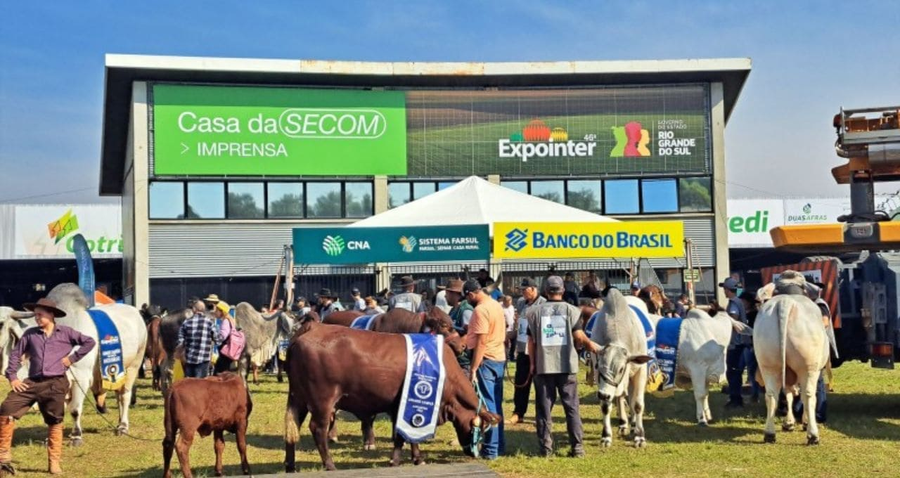 Expointer