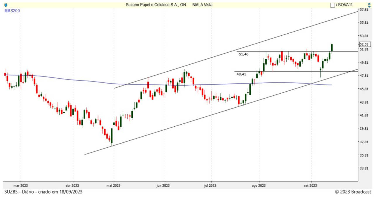 Suzano, SUZB3, Celulose, Swing Trade