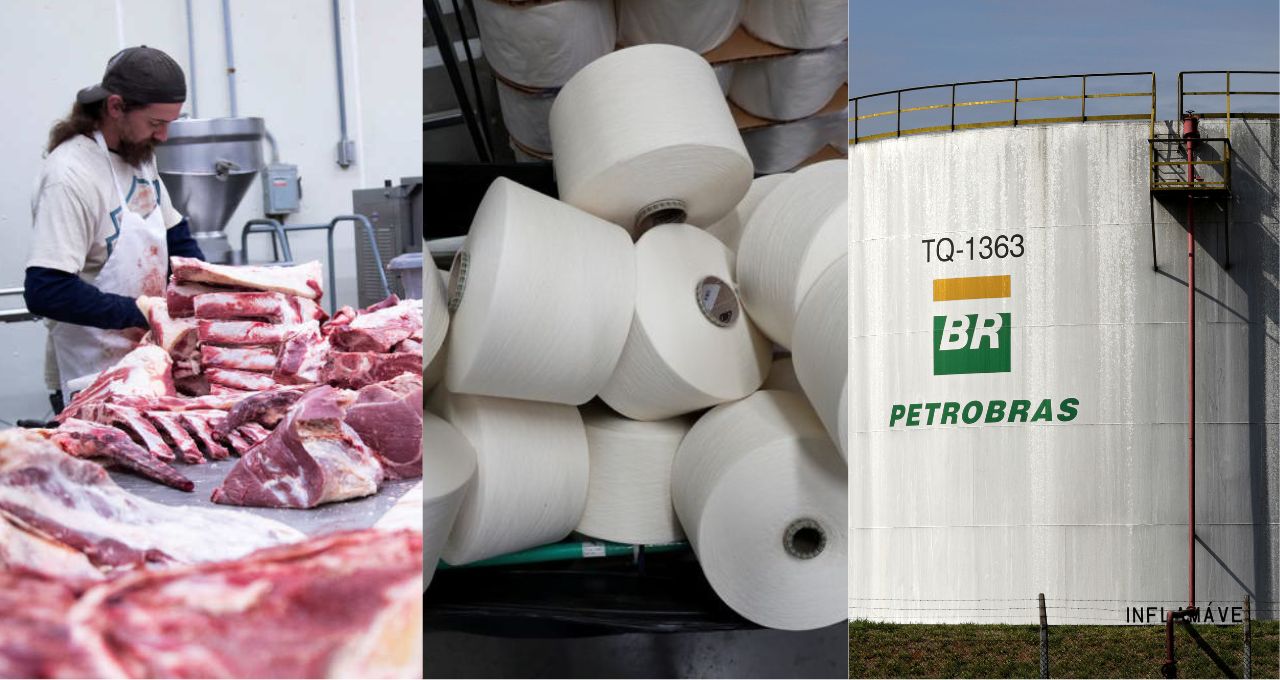 agro petrobras celulose