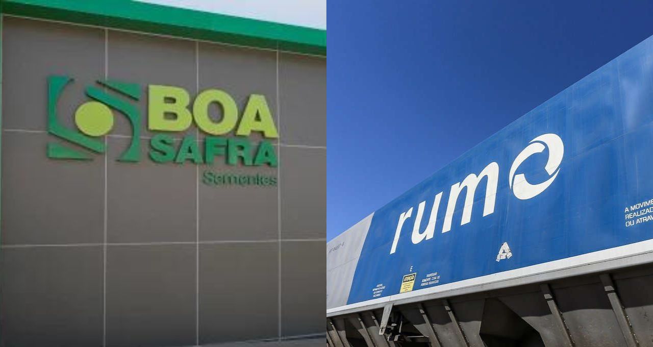 boa safra rumo