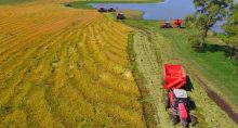 brasil agro economias vbp