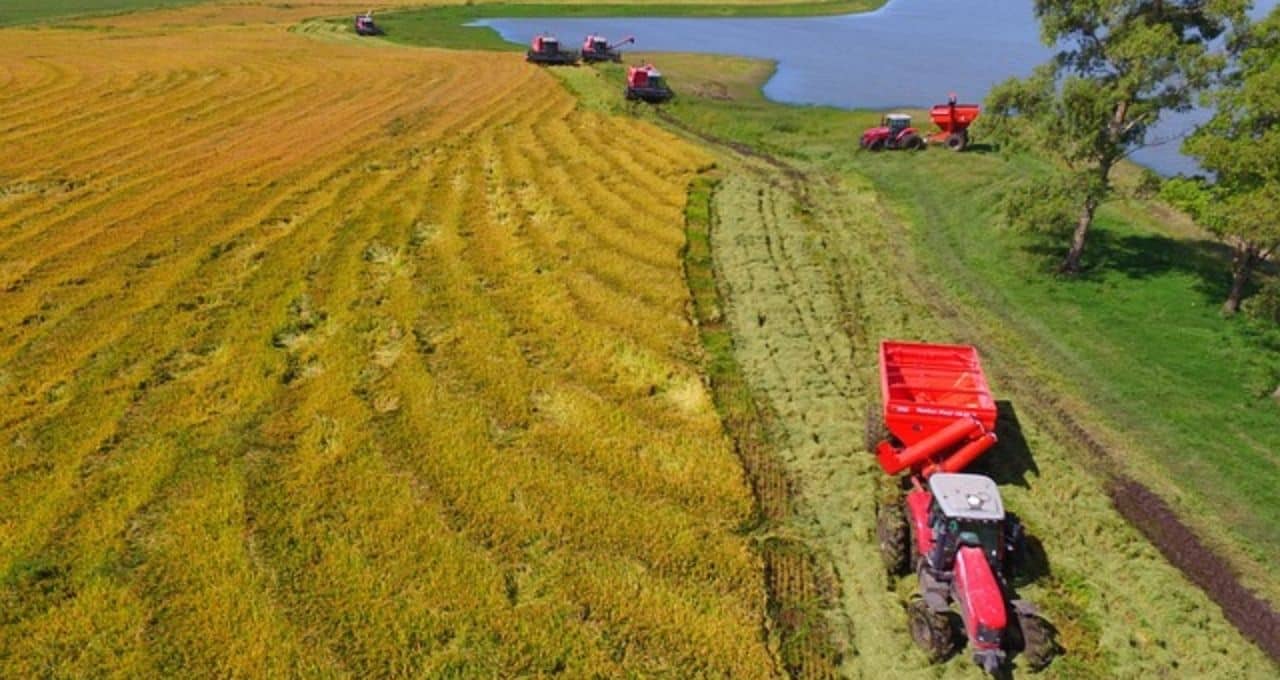 brasil agro economias vbp 