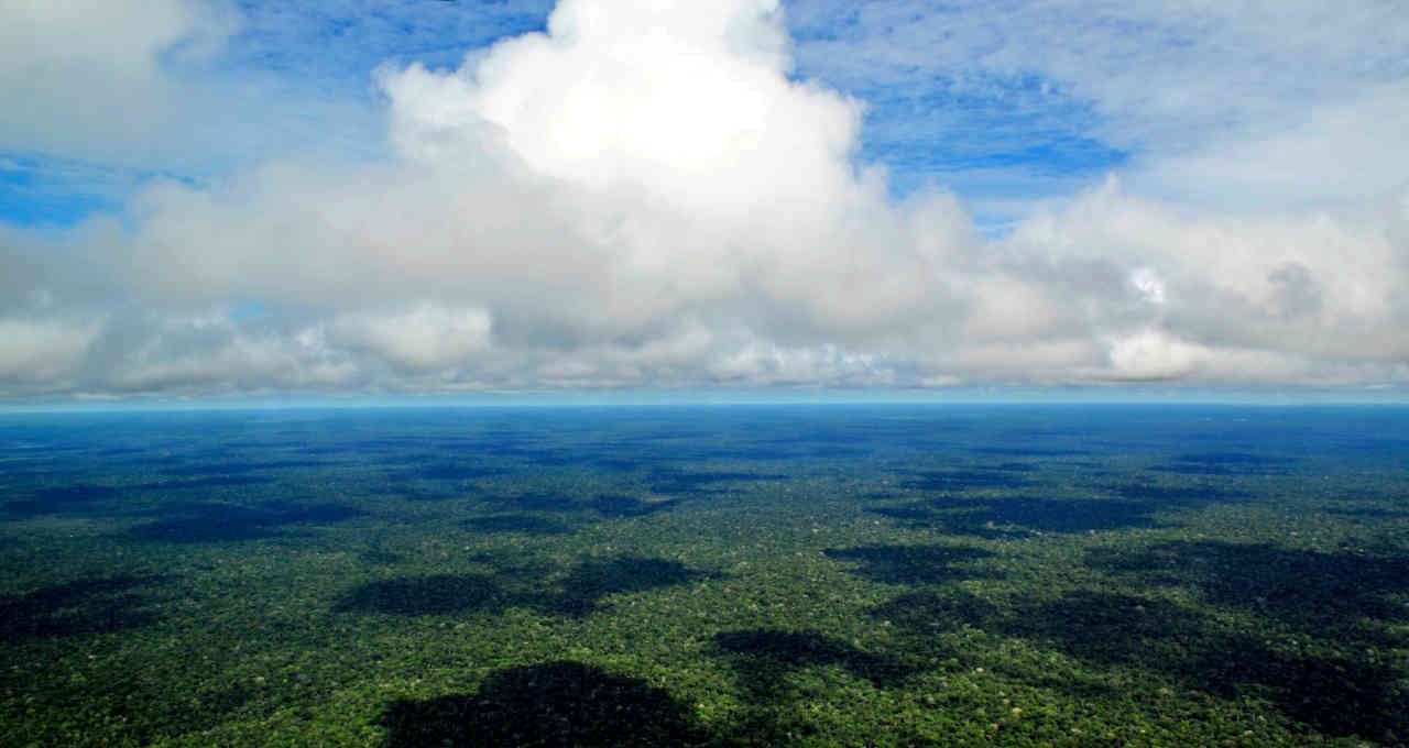 fundo amazônia