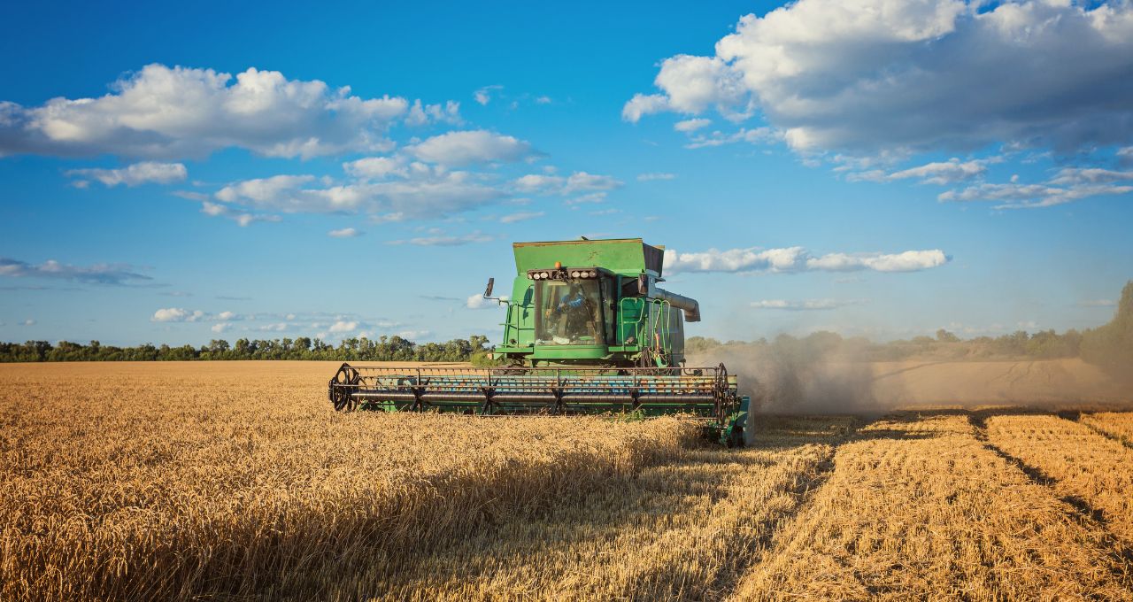 Brasil agronegócio Goldman Sachs PIB crescimento econômico 