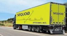 Sequoia rerratifica preço de ação