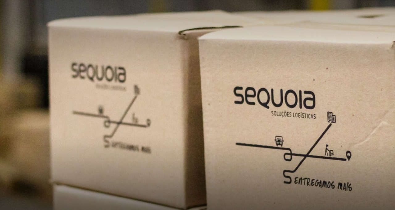 Sequoia rerratifica preço de ação