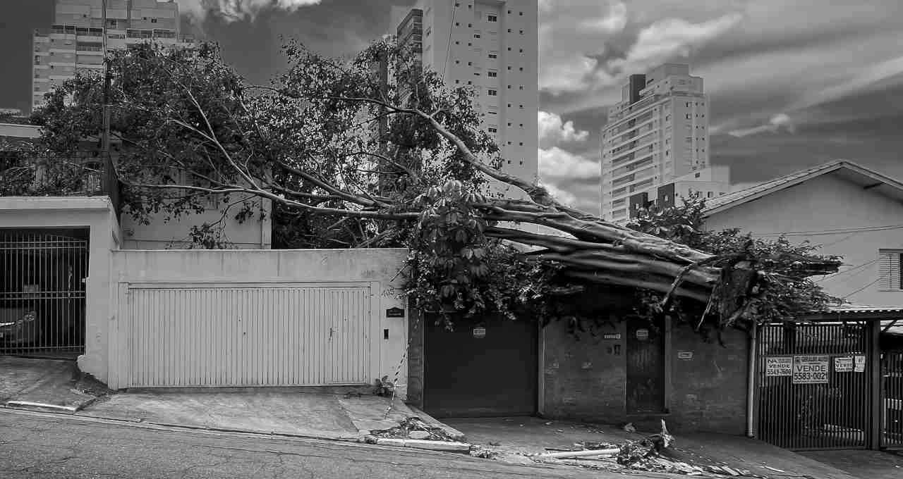 apagão são paulo novembro 2023 enel queda árvores energia conta luz indenização