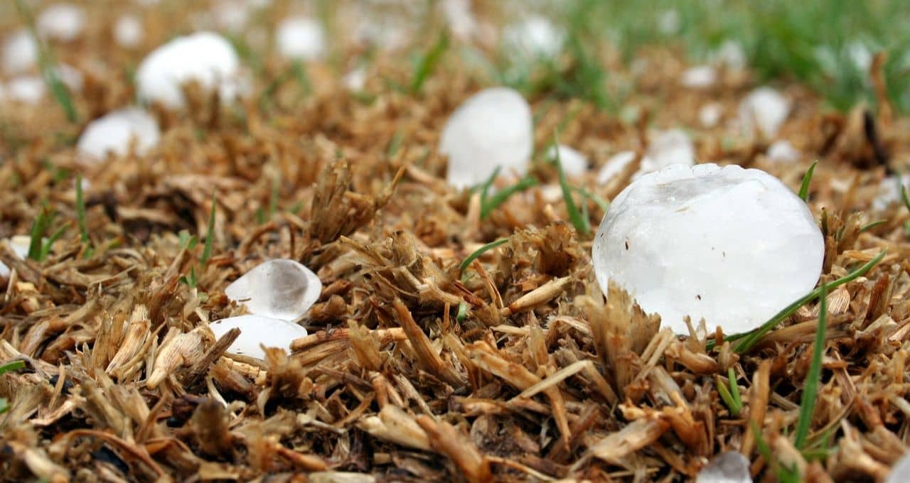 granizo el niño (1)