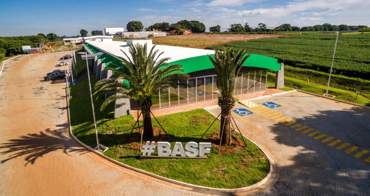 basf raízen