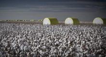 slc agrícola el niño