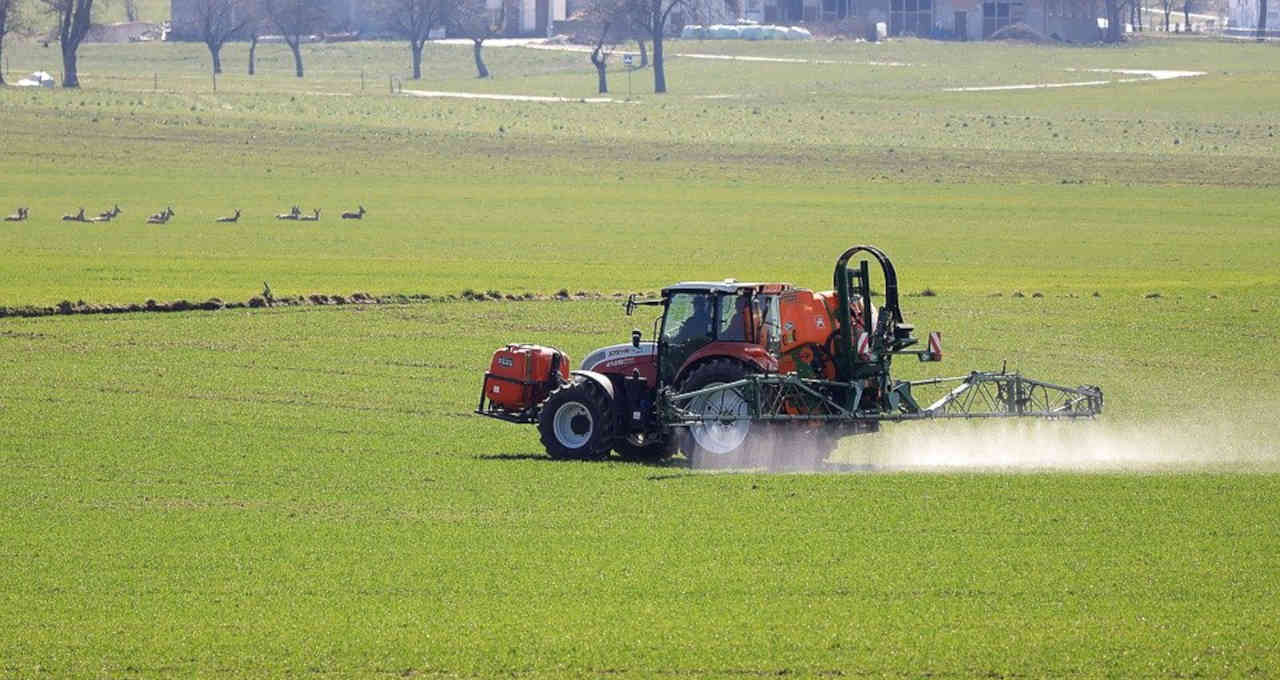 agro ações ação