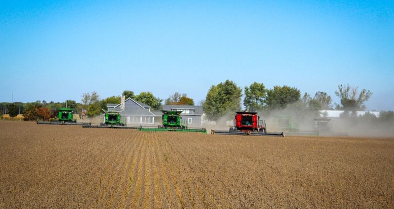 agro la niña