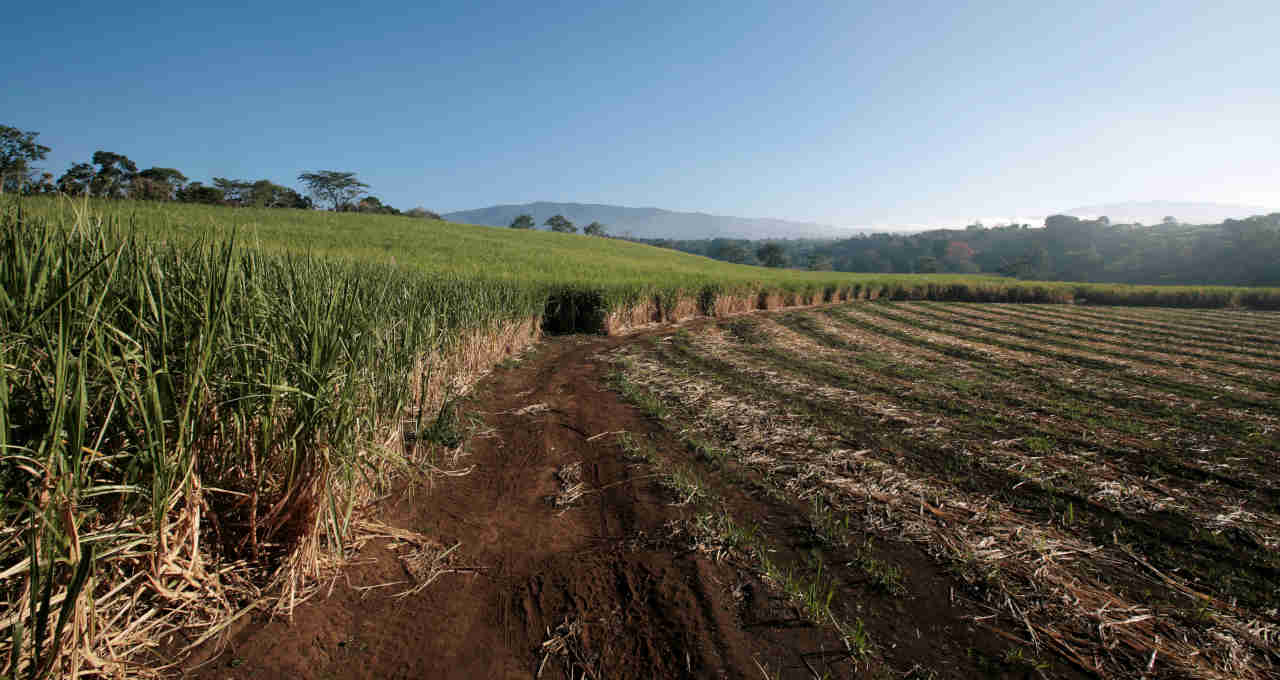 el niño ações la niña