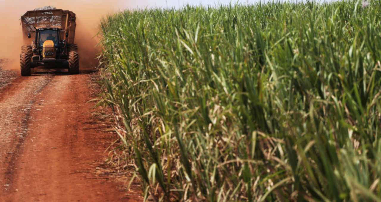 el niño la niña ações agronegócio mudanças climáticas clima commodities agrícolas onde investir