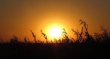 la niña el niño