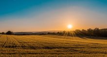 brasilagro fazenda