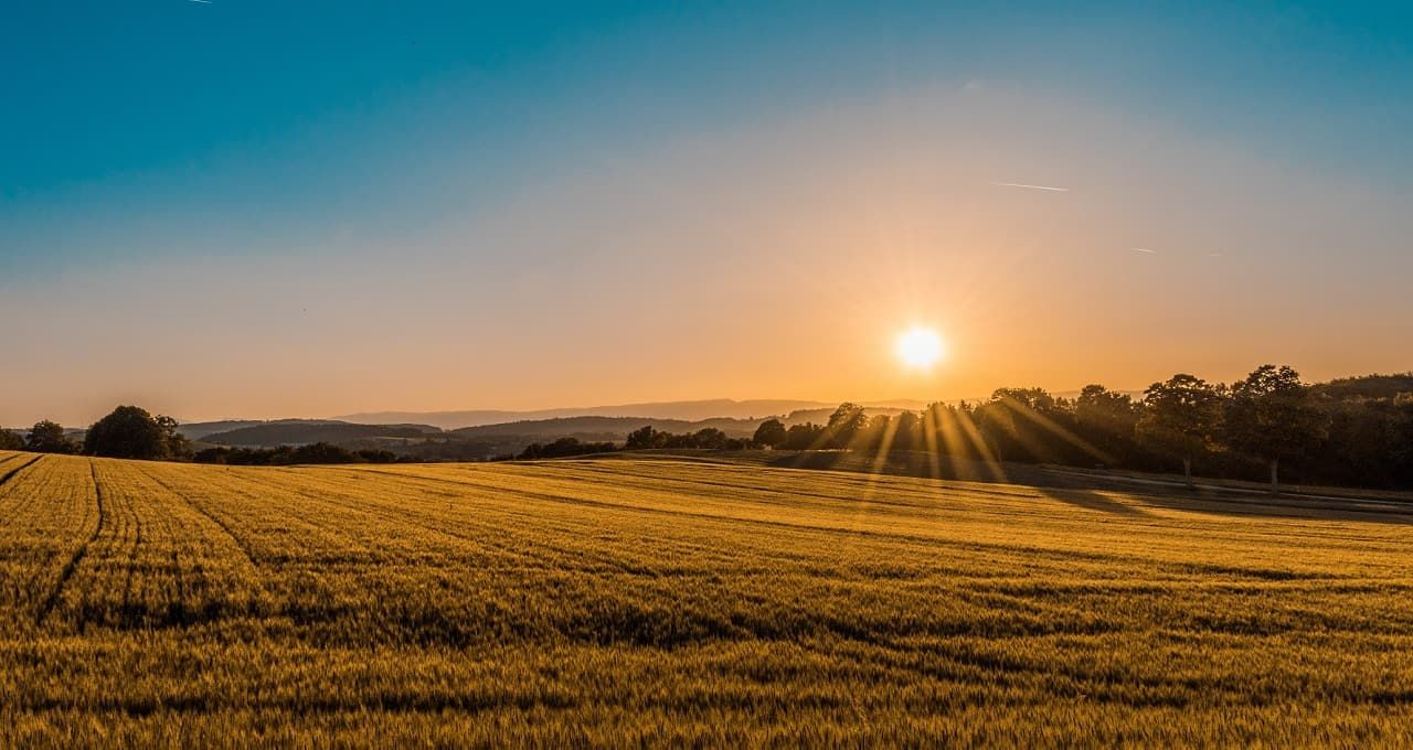 brasilagro fazenda