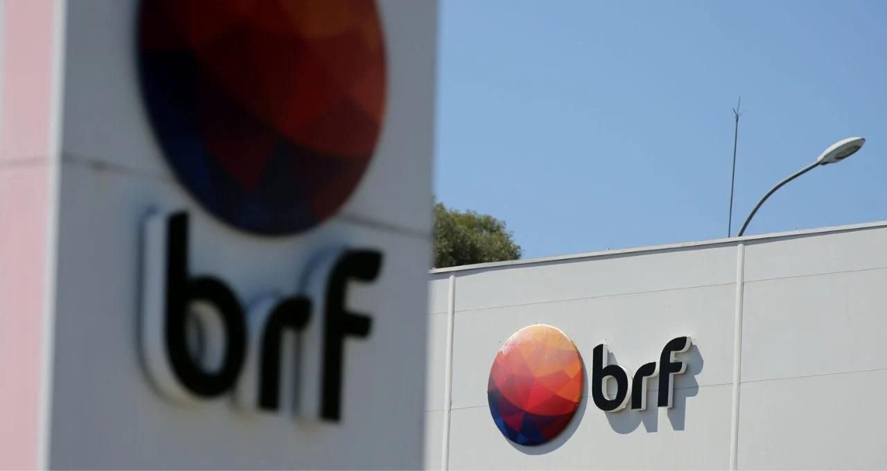 brf xp investimentos (1)