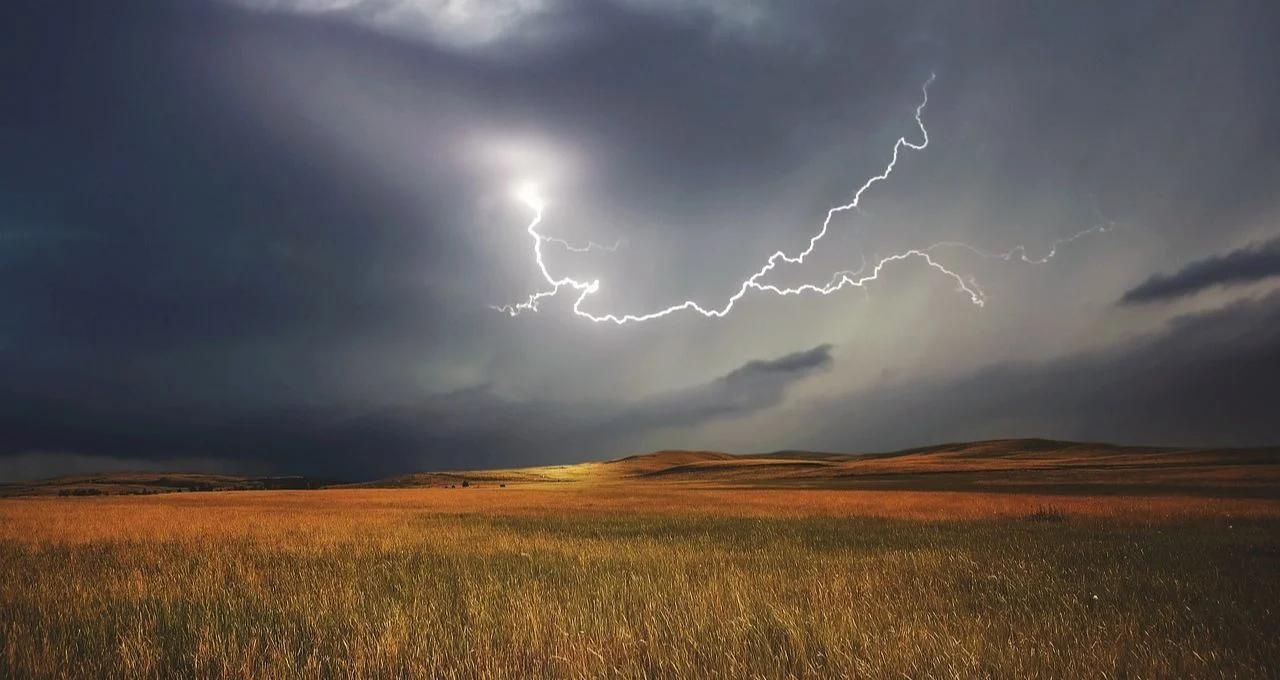 la niña el niño