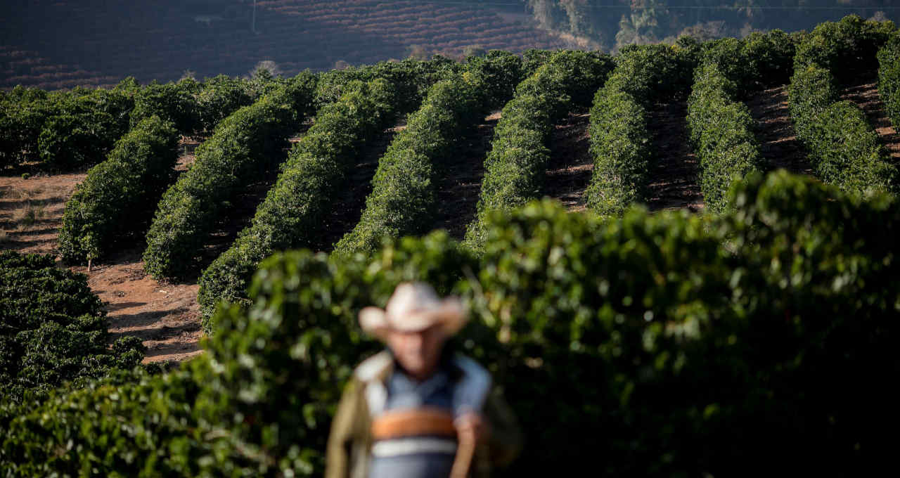 recuperação judicial contratos futuros decisão justiça brasileira mercados investimentos café